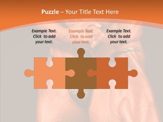 Weightlifting Male Young PowerPoint Template
