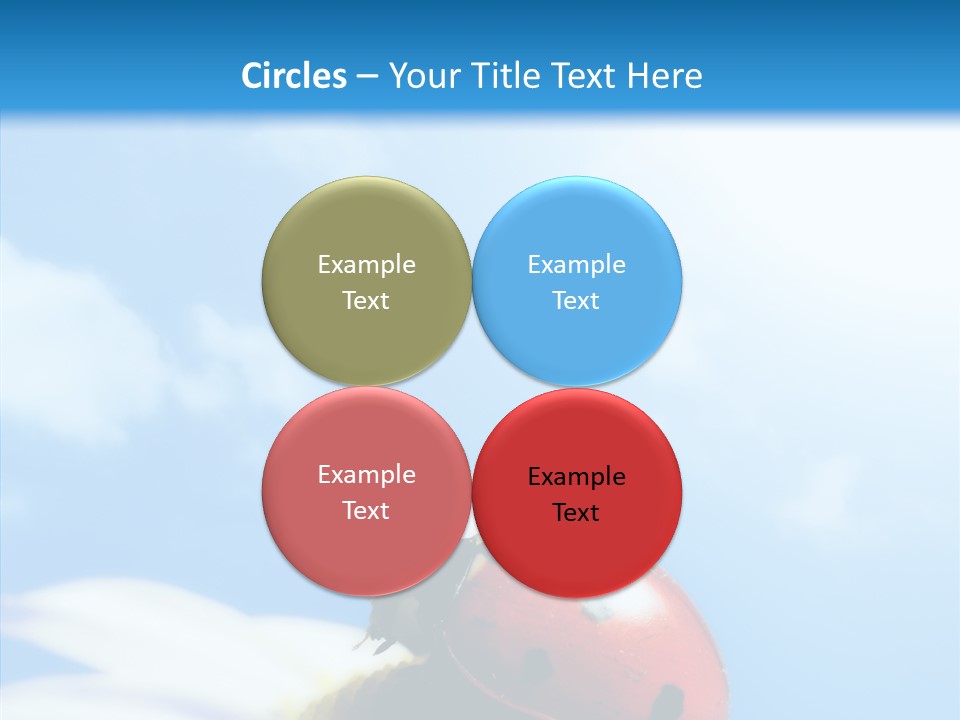 Head Red Bug PowerPoint Template