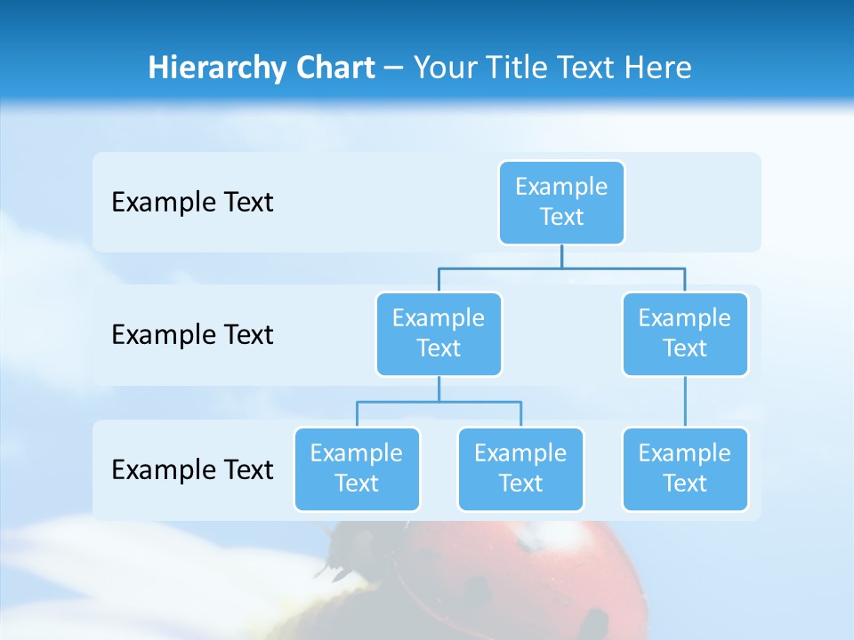 Head Red Bug PowerPoint Template