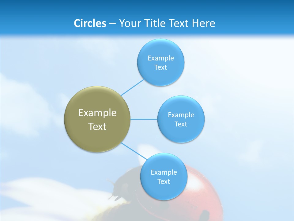 Head Red Bug PowerPoint Template