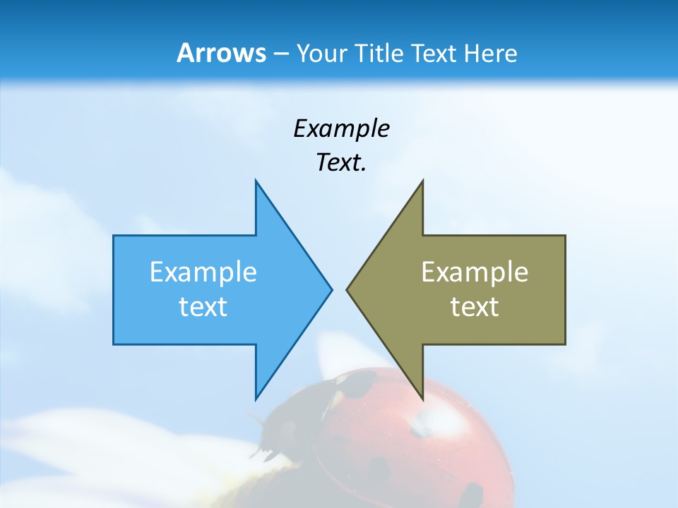 Head Red Bug PowerPoint Template