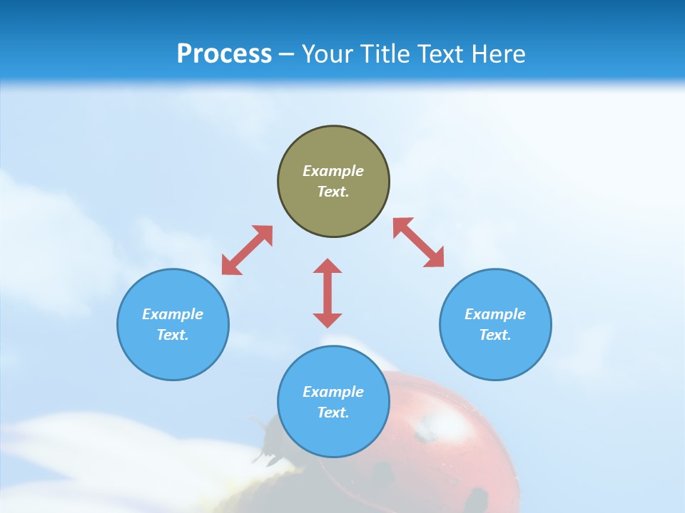 Head Red Bug PowerPoint Template