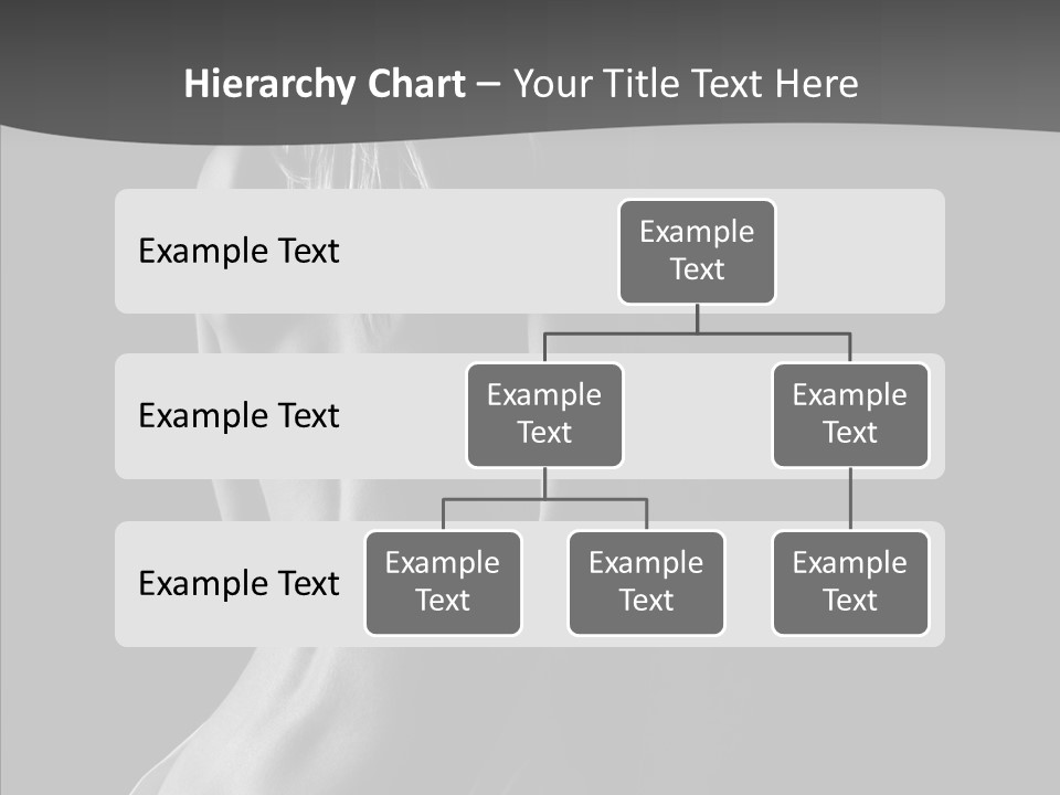 Di Cu Ion Room Conference PowerPoint Template