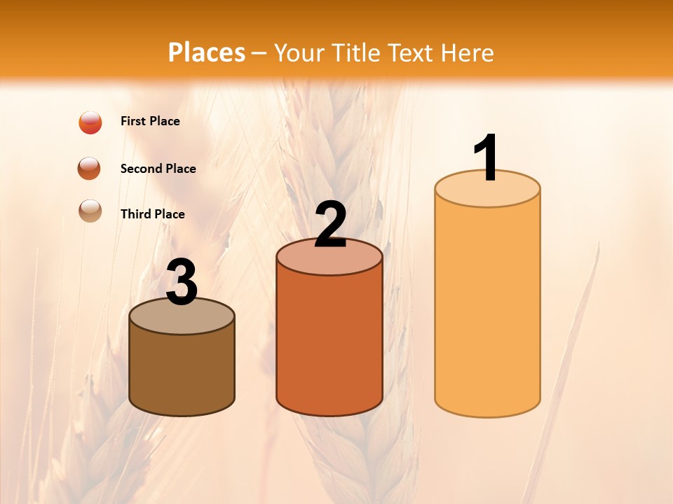 Harvesting Rye Seed PowerPoint Template