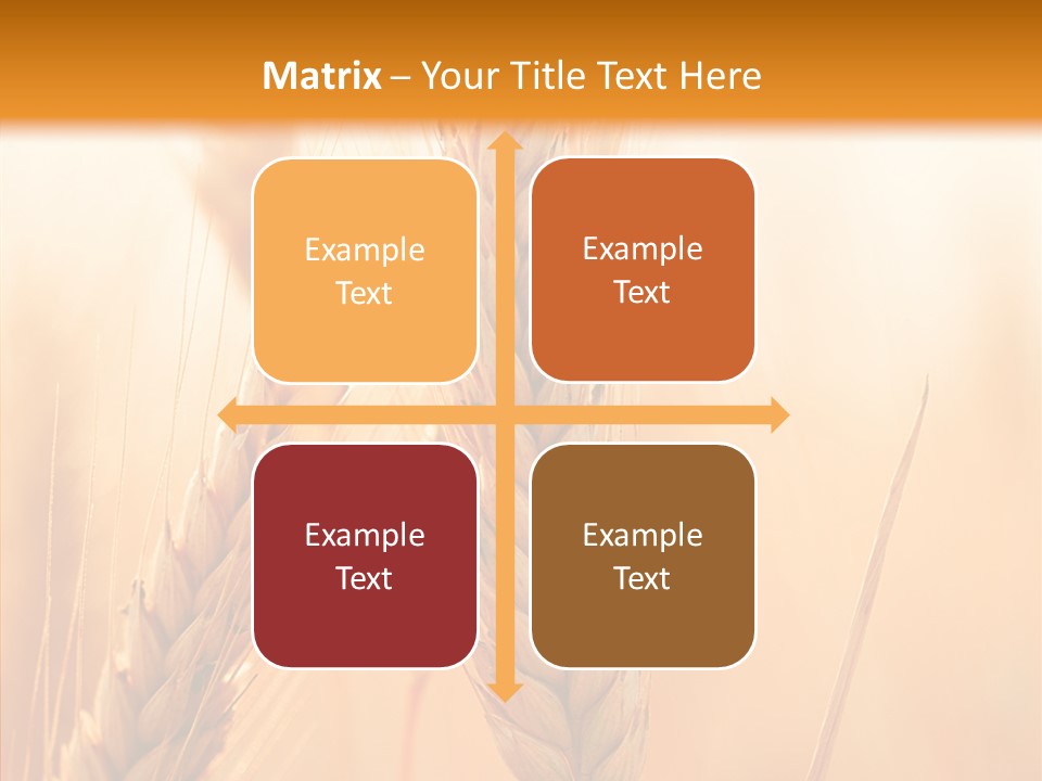 Harvesting Rye Seed PowerPoint Template