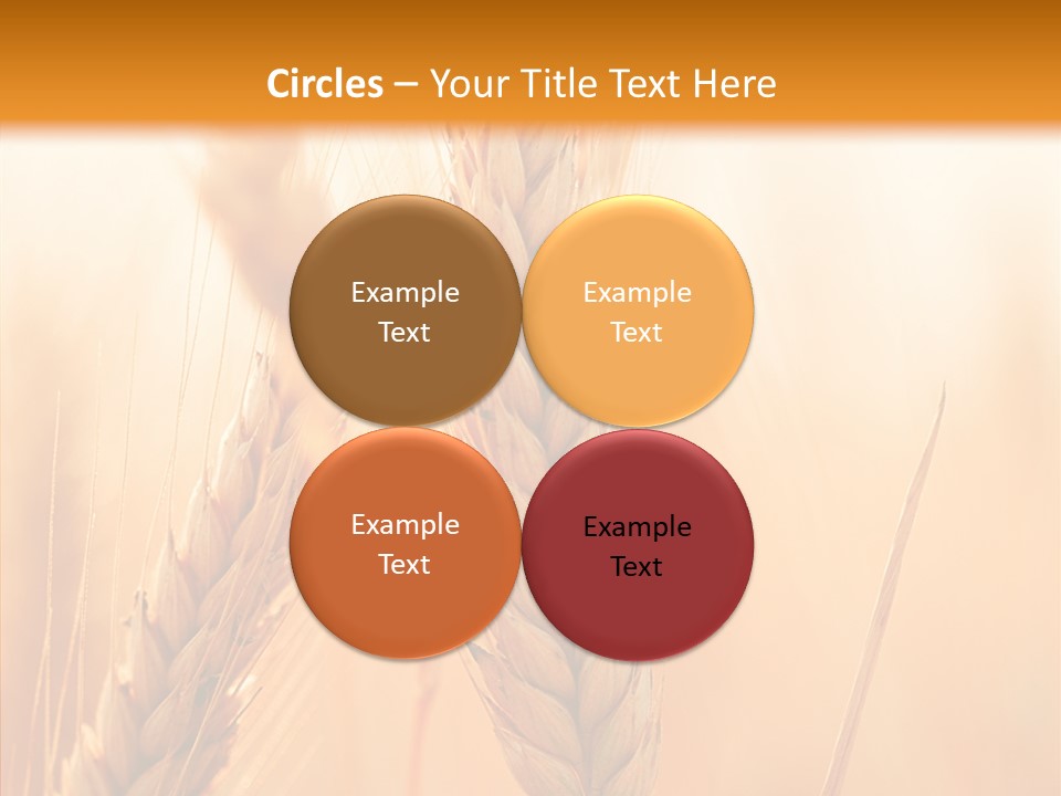 Harvesting Rye Seed PowerPoint Template