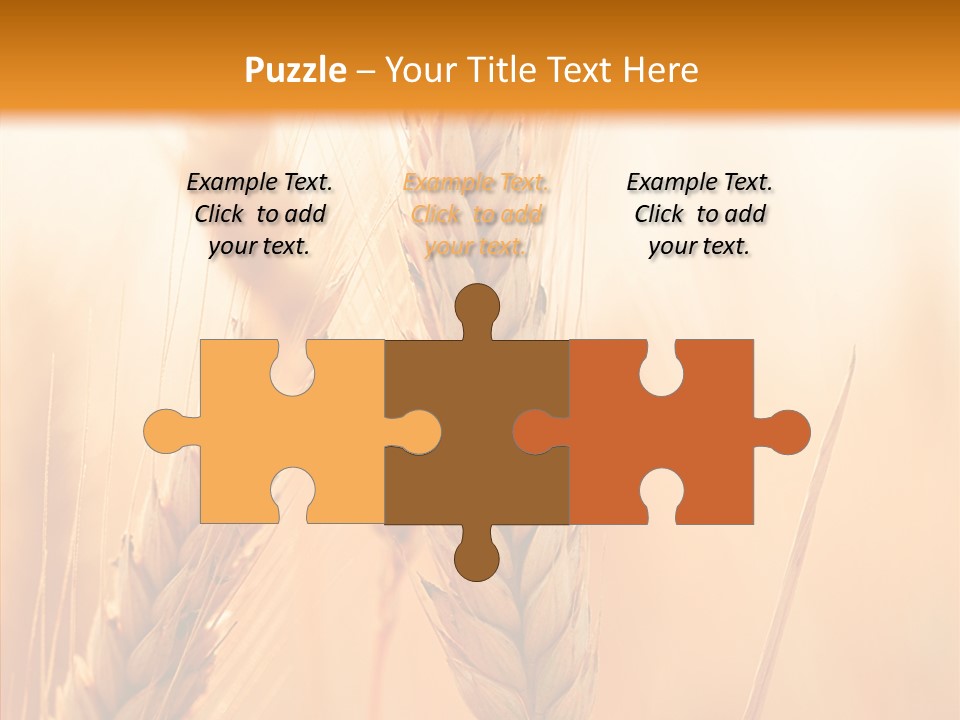 Harvesting Rye Seed PowerPoint Template