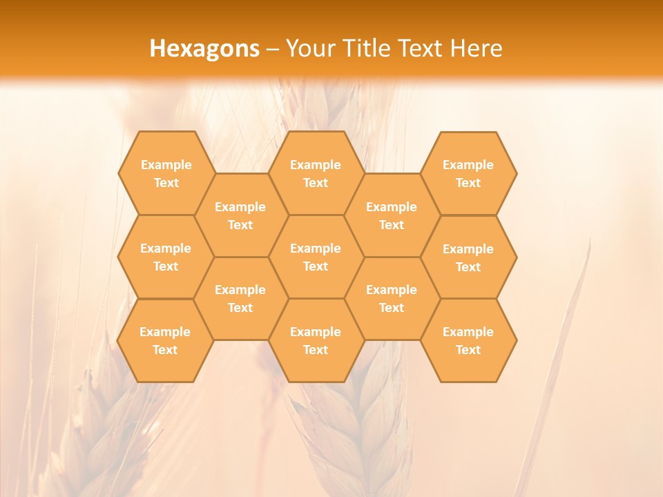 Harvesting Rye Seed PowerPoint Template