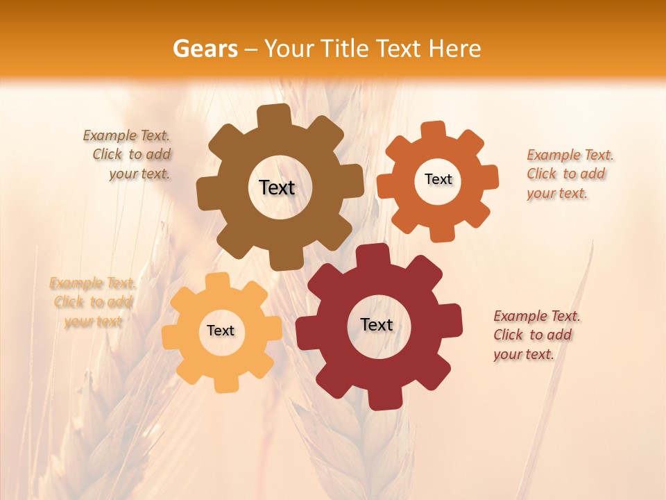 Harvesting Rye Seed PowerPoint Template