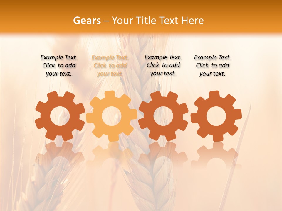 Harvesting Rye Seed PowerPoint Template