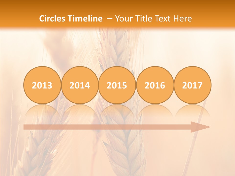 Harvesting Rye Seed PowerPoint Template