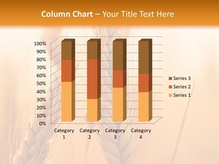 Harvesting Rye Seed PowerPoint Template