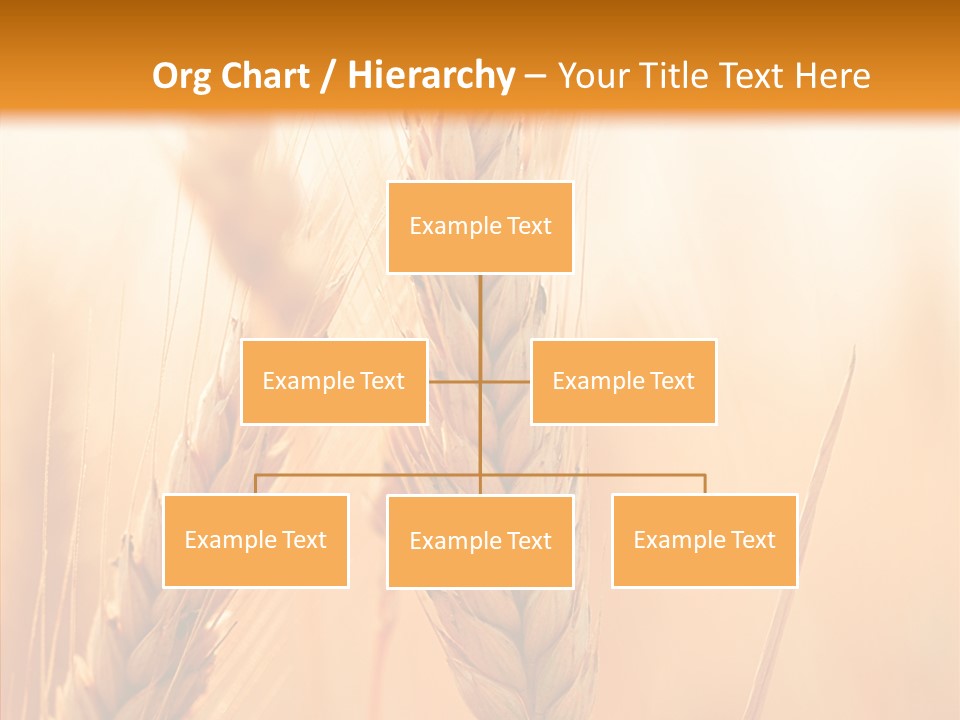 Harvesting Rye Seed PowerPoint Template