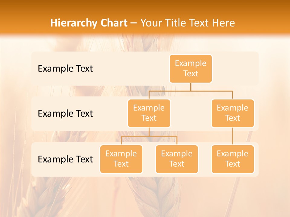 Harvesting Rye Seed PowerPoint Template