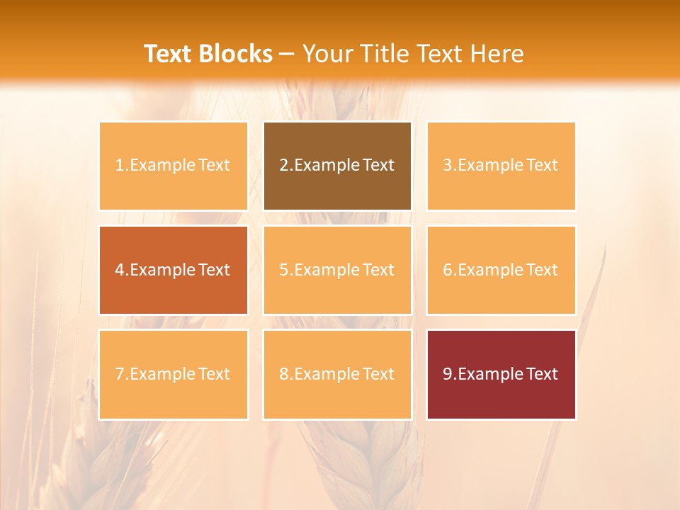 Harvesting Rye Seed PowerPoint Template