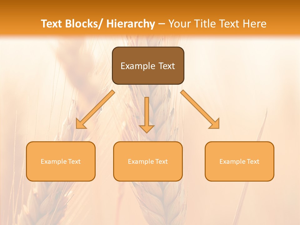 Harvesting Rye Seed PowerPoint Template