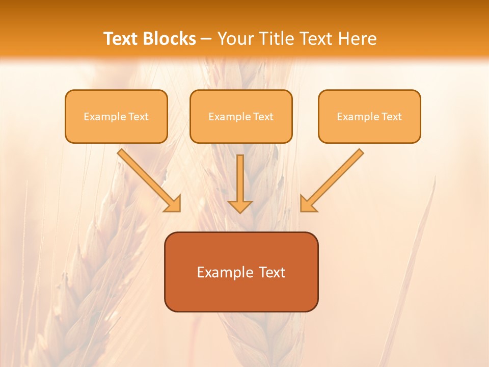 Harvesting Rye Seed PowerPoint Template