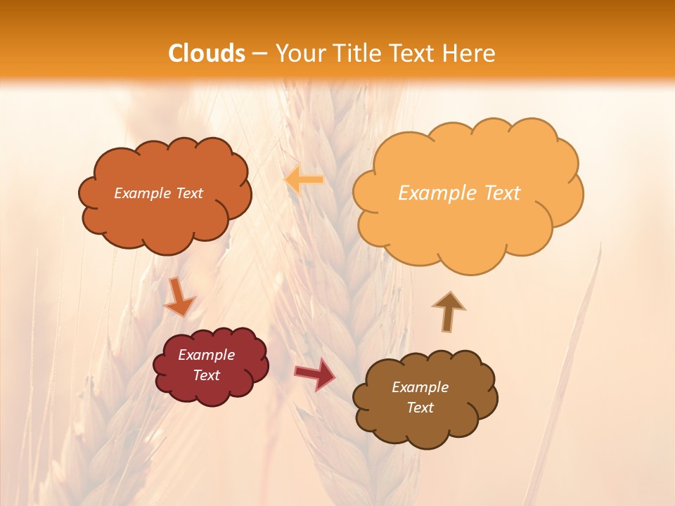 Harvesting Rye Seed PowerPoint Template