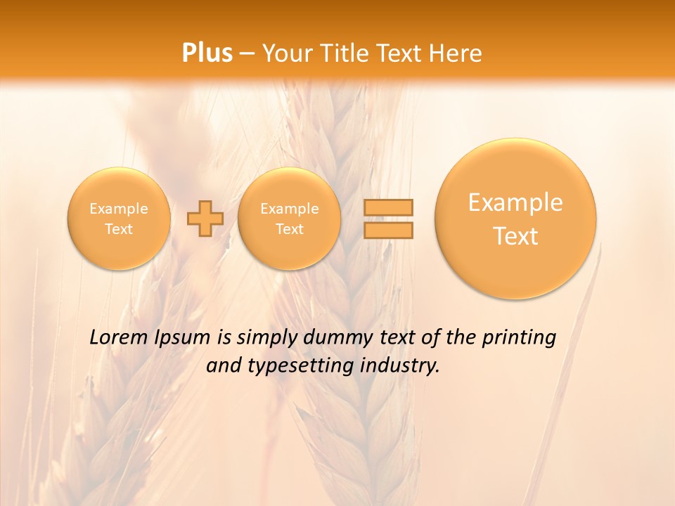 Harvesting Rye Seed PowerPoint Template