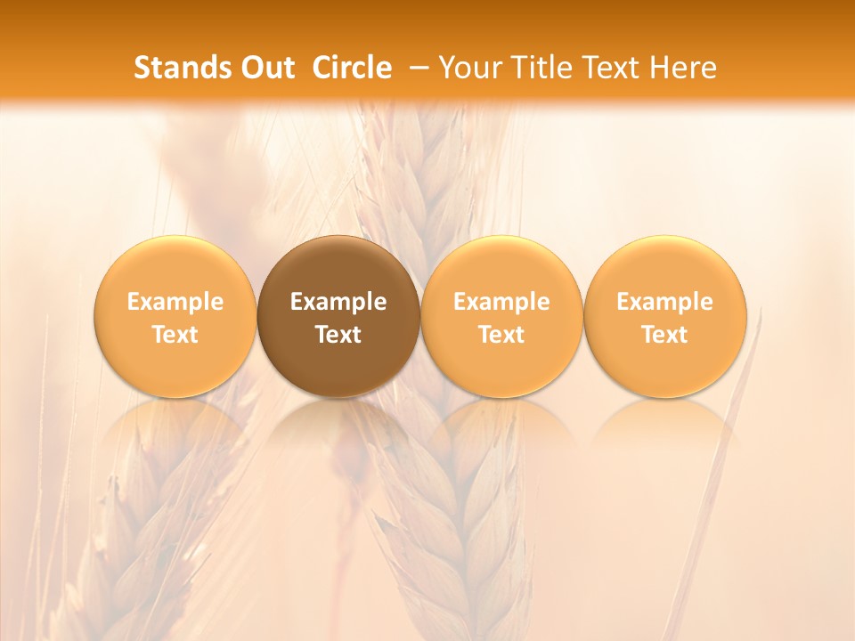 Harvesting Rye Seed PowerPoint Template