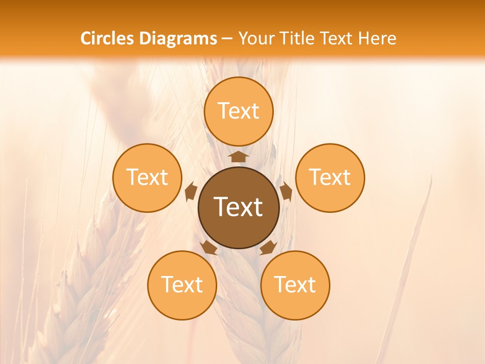 Harvesting Rye Seed PowerPoint Template