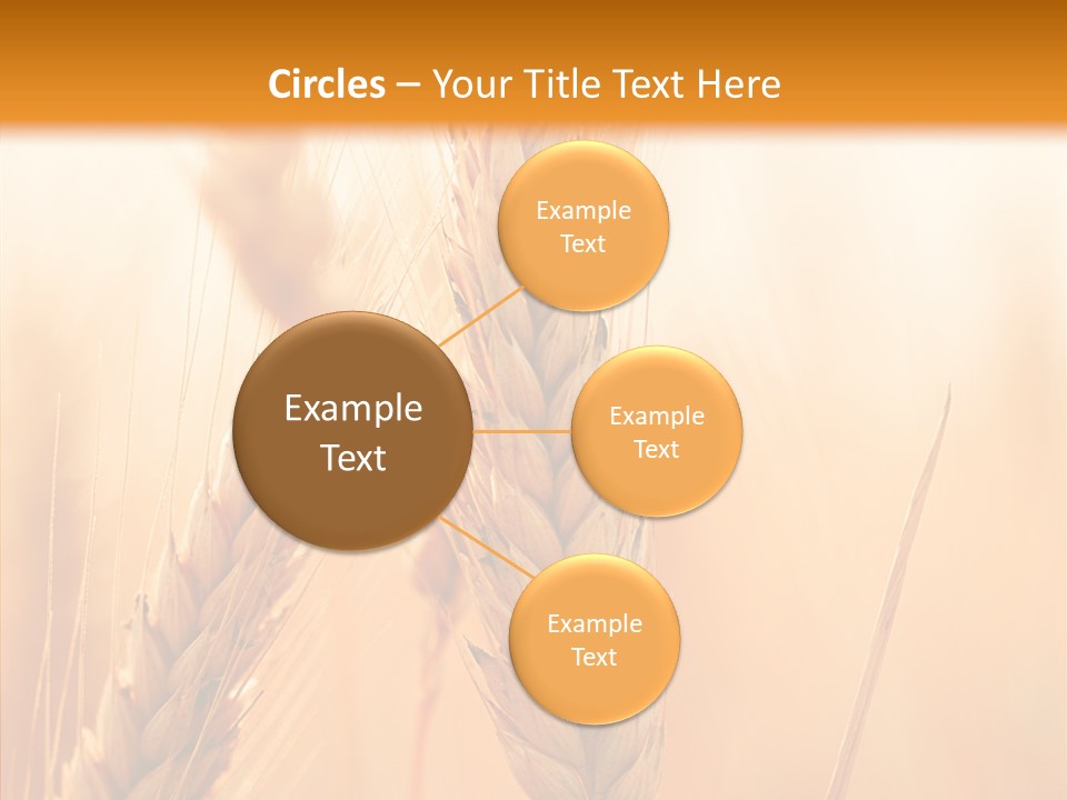 Harvesting Rye Seed PowerPoint Template