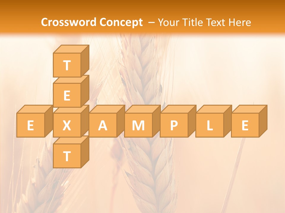 Harvesting Rye Seed PowerPoint Template