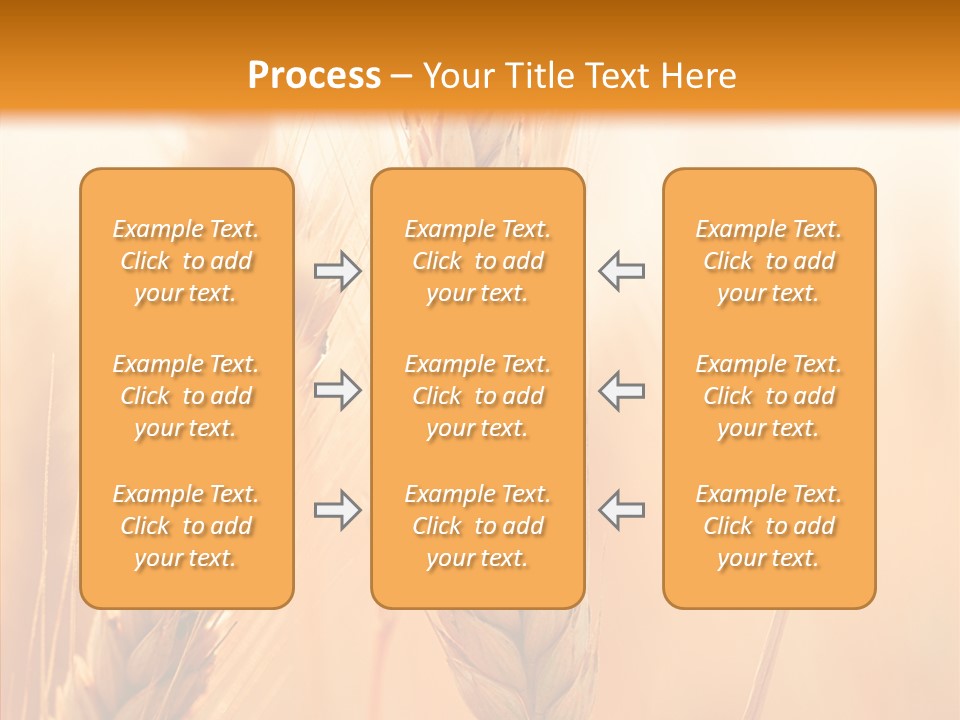 Harvesting Rye Seed PowerPoint Template