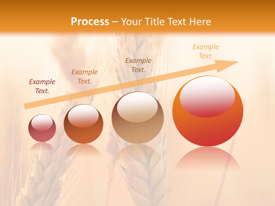 Harvesting Rye Seed PowerPoint Template