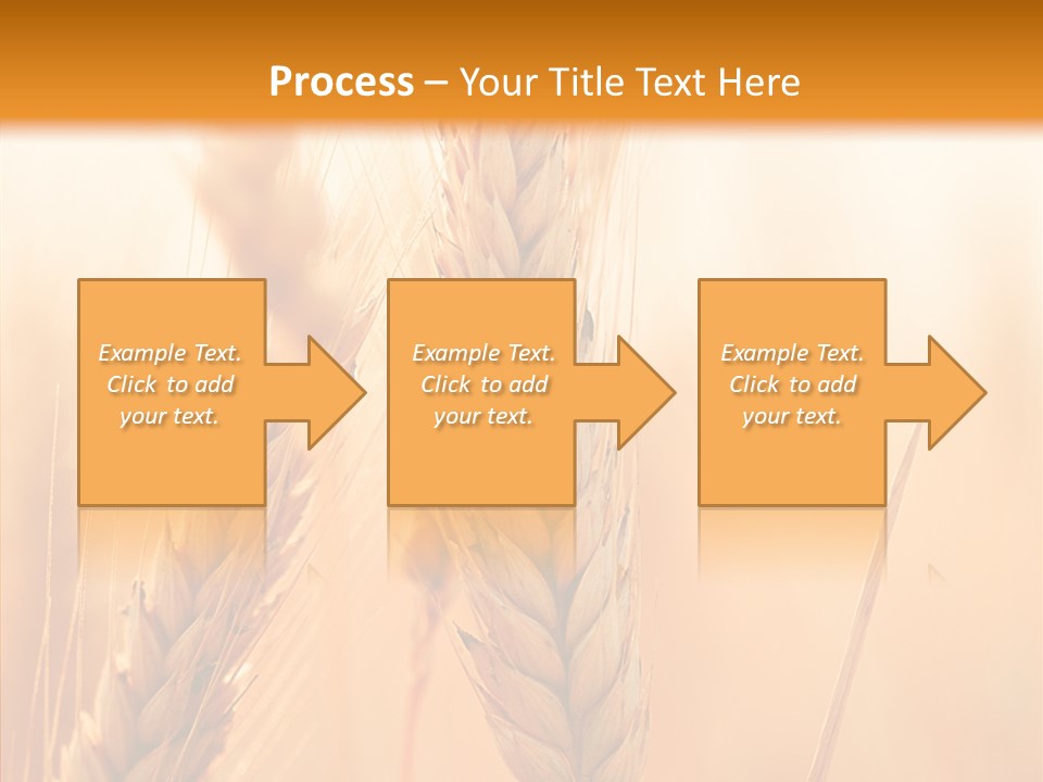 Harvesting Rye Seed PowerPoint Template