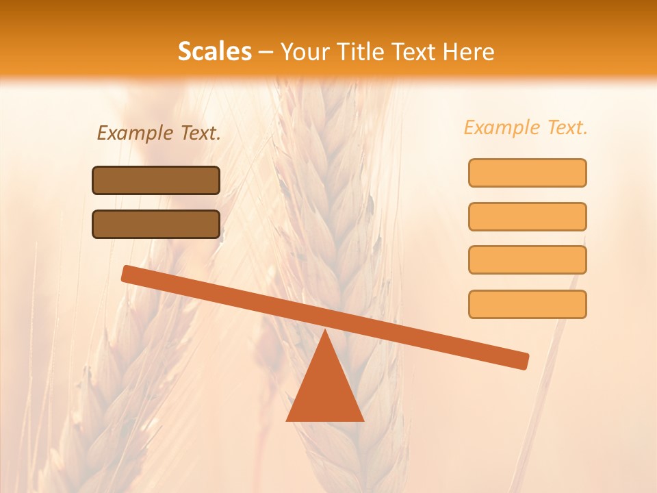 Harvesting Rye Seed PowerPoint Template