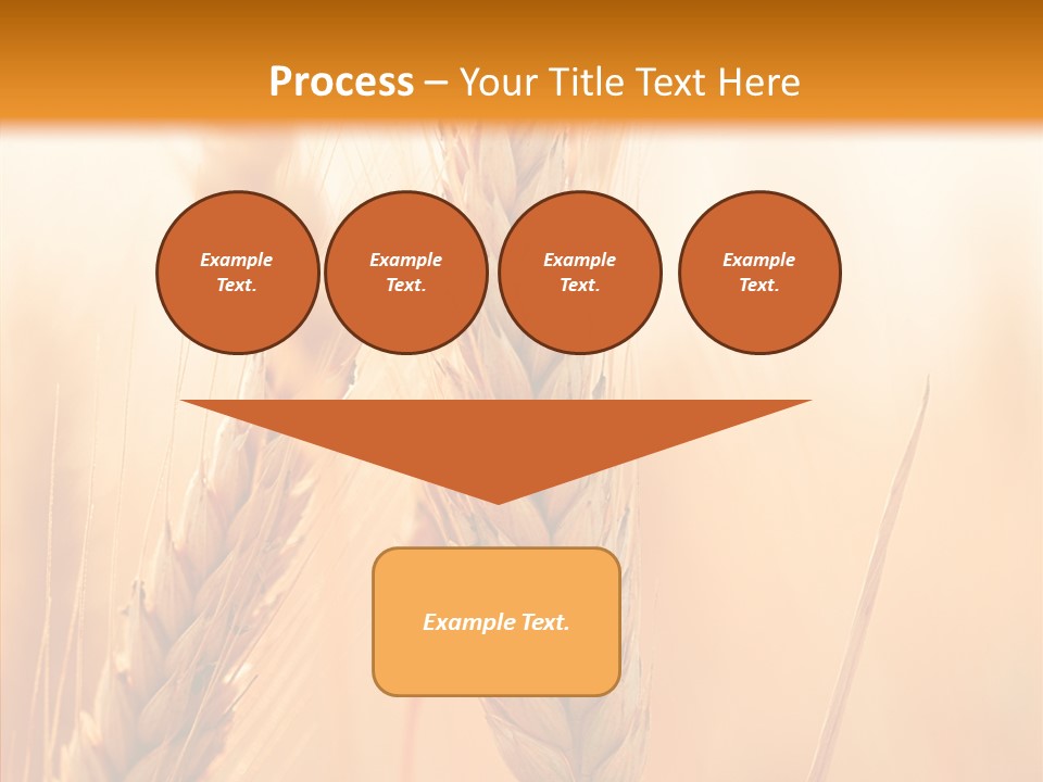 Harvesting Rye Seed PowerPoint Template