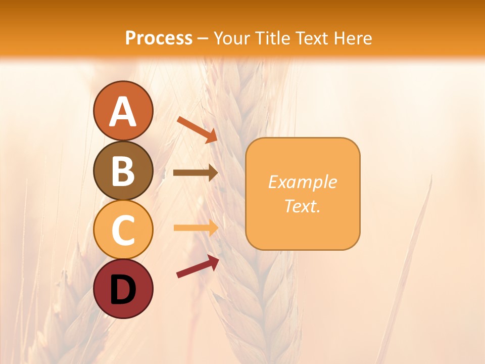 Harvesting Rye Seed PowerPoint Template