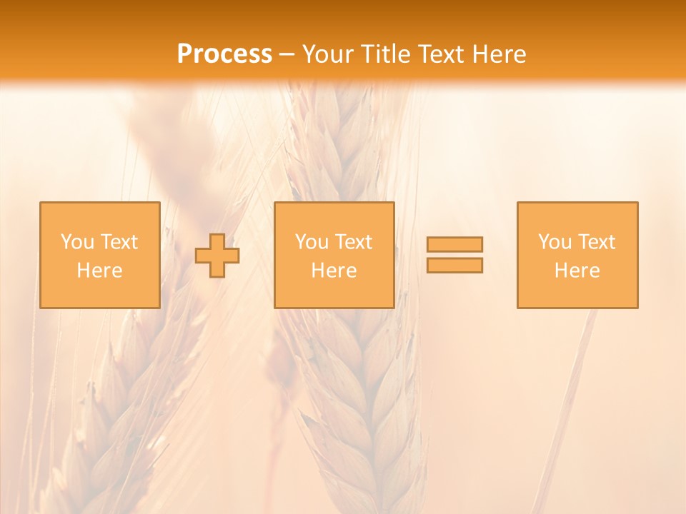 Harvesting Rye Seed PowerPoint Template