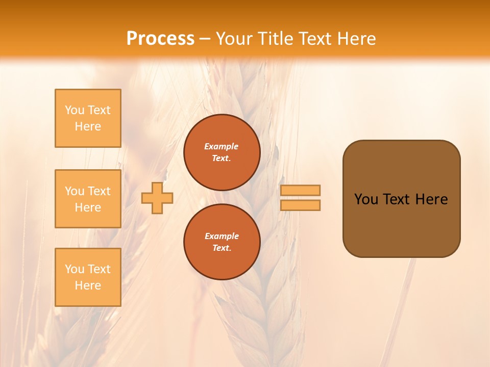 Harvesting Rye Seed PowerPoint Template