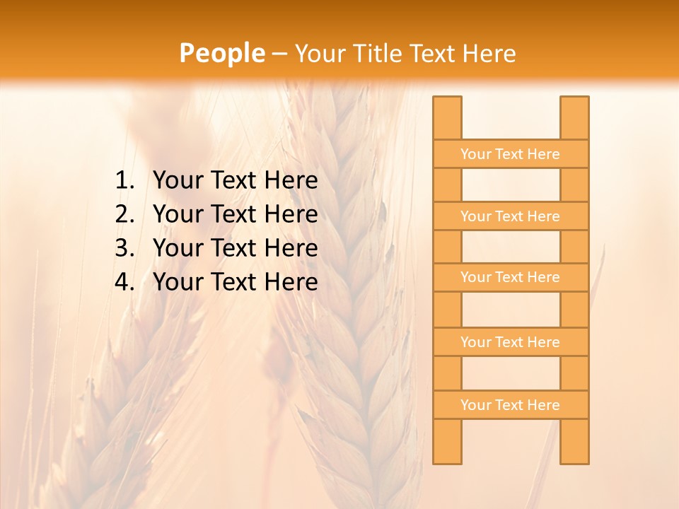 Harvesting Rye Seed PowerPoint Template