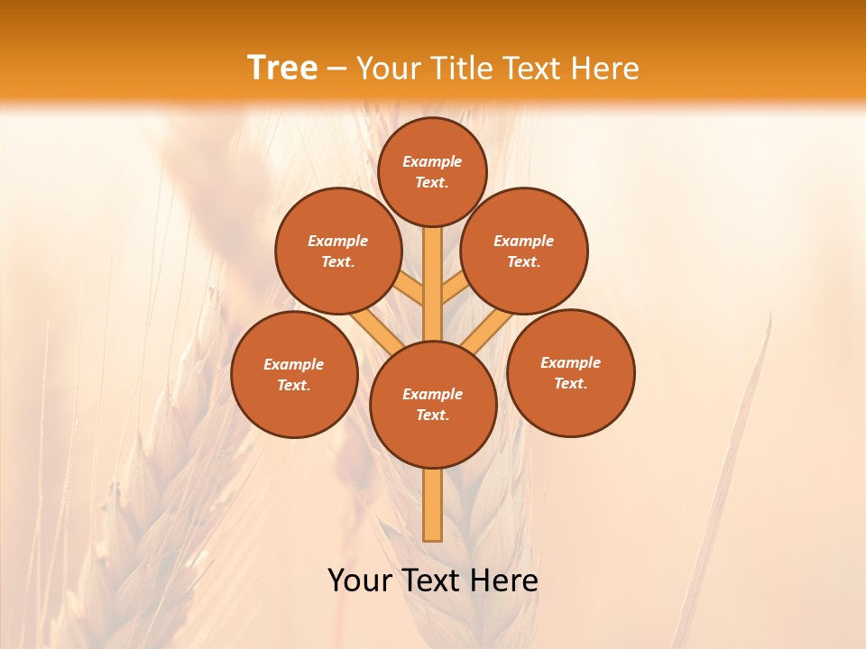 Harvesting Rye Seed PowerPoint Template