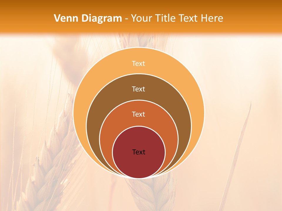 Harvesting Rye Seed PowerPoint Template