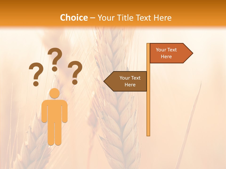 Harvesting Rye Seed PowerPoint Template