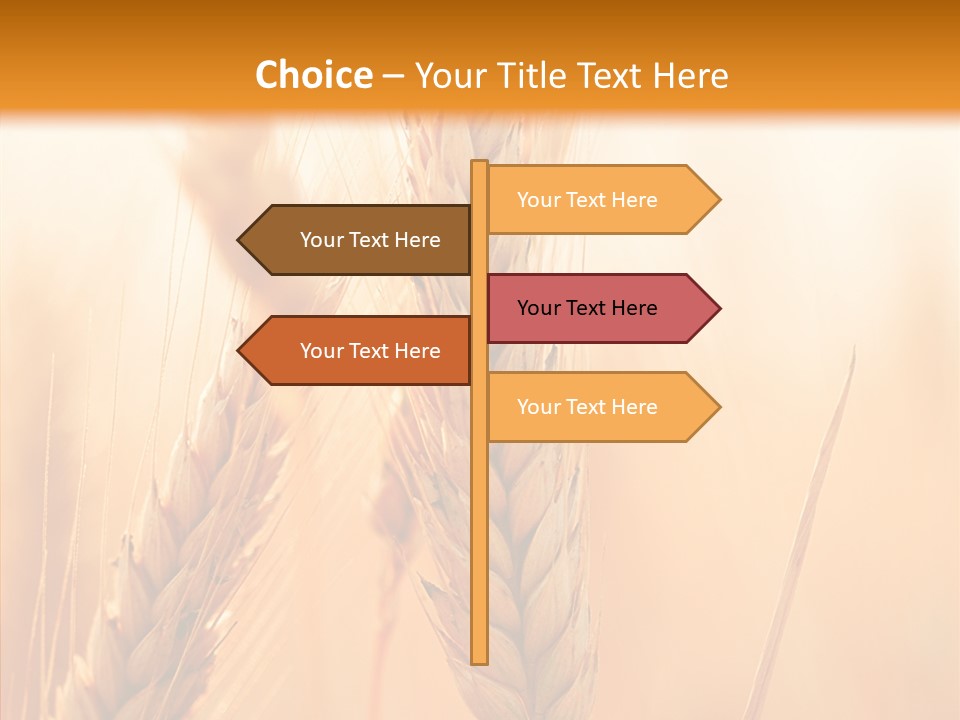 Harvesting Rye Seed PowerPoint Template