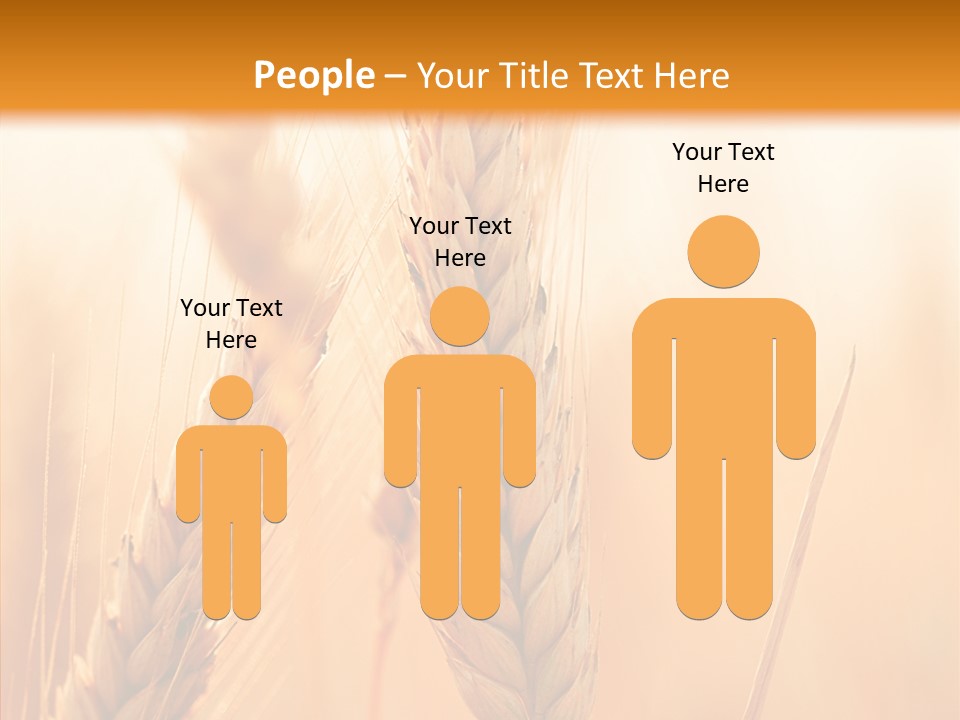 Harvesting Rye Seed PowerPoint Template