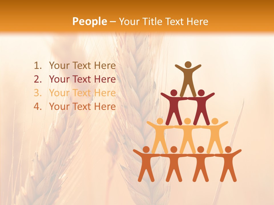 Harvesting Rye Seed PowerPoint Template