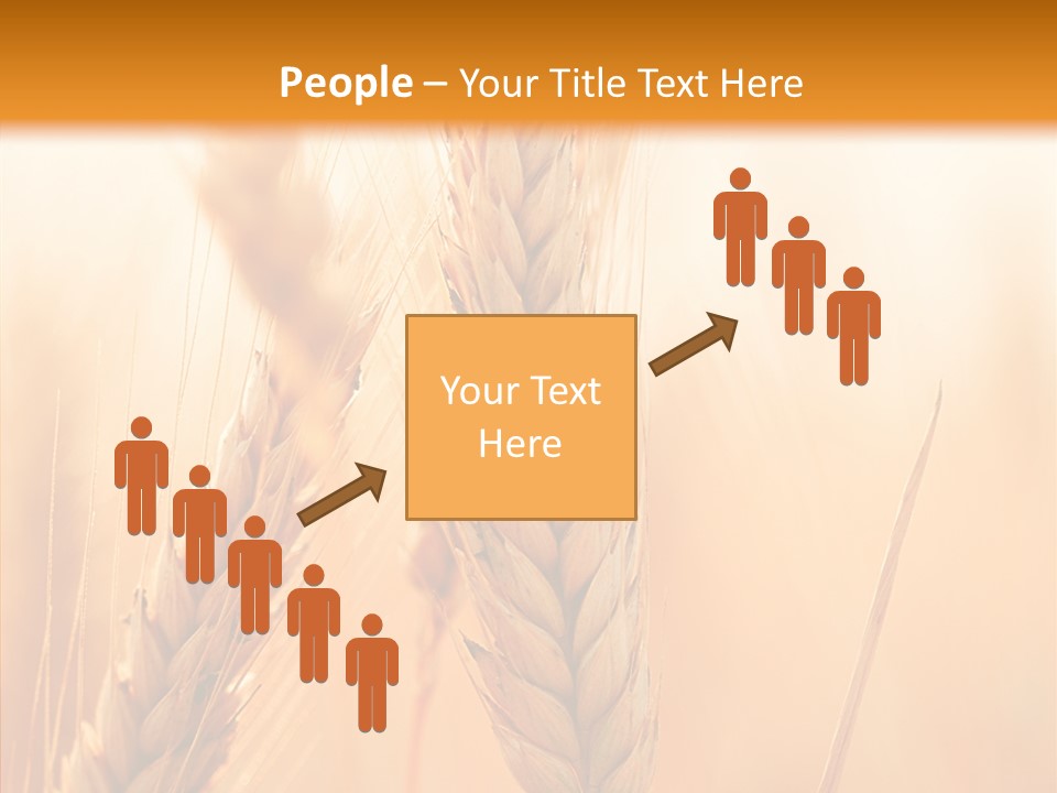 Harvesting Rye Seed PowerPoint Template