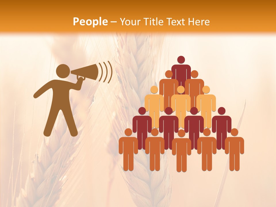 Harvesting Rye Seed PowerPoint Template