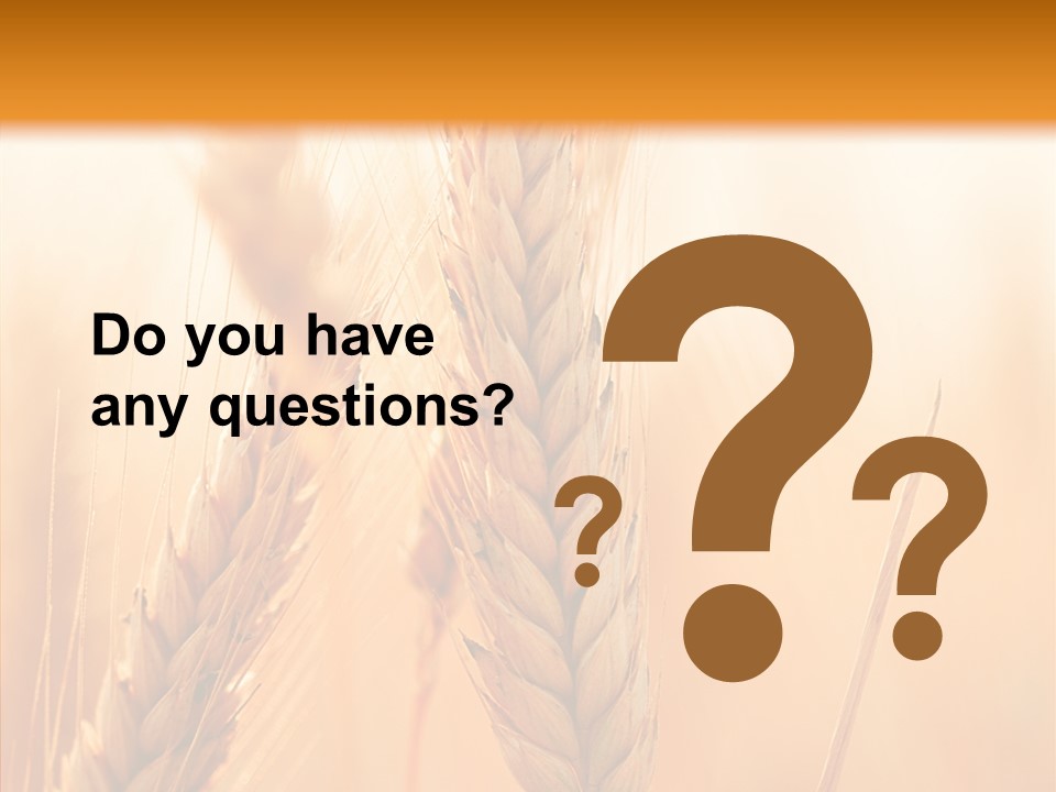 Harvesting Rye Seed PowerPoint Template