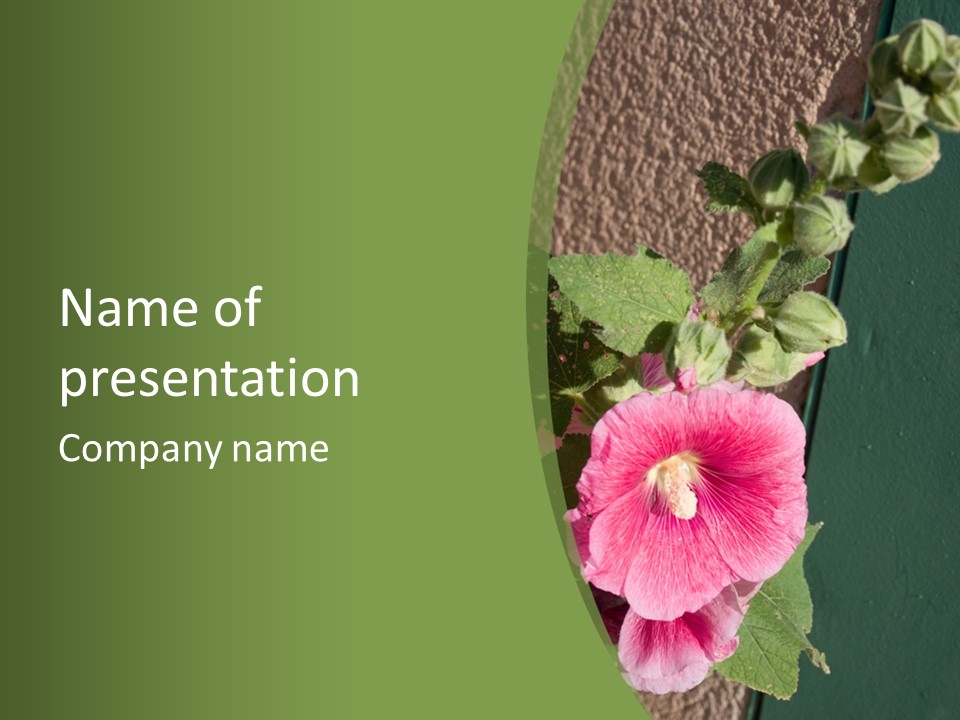 Blooming Rose Stem PowerPoint Template