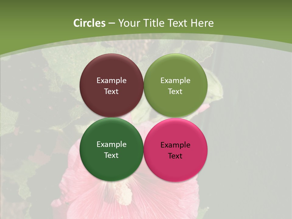 Blooming Rose Stem PowerPoint Template