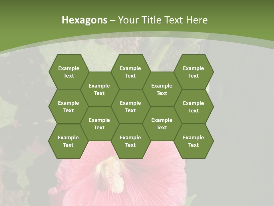 Blooming Rose Stem PowerPoint Template