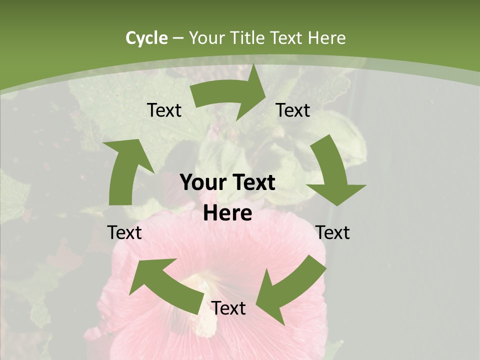 Blooming Rose Stem PowerPoint Template