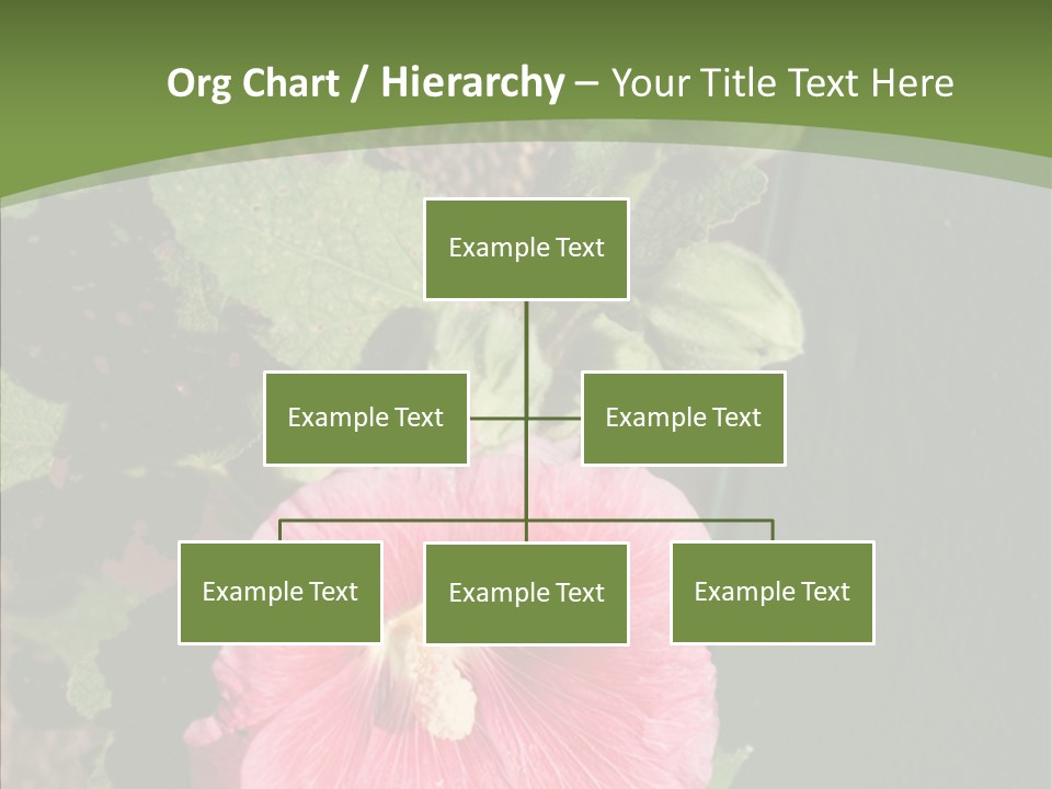 Blooming Rose Stem PowerPoint Template